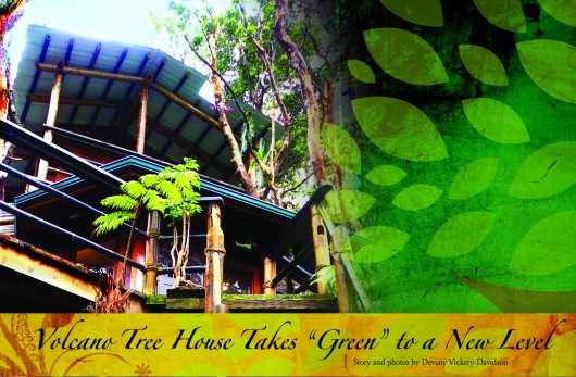 July-Aug ʻ11 - Tree House pgA