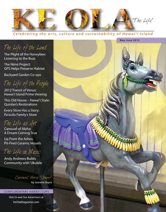May–Jun 2012 cover