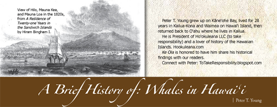 A brief history of whales by Peter T Young