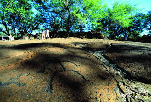 One of the priceless, yet free, things to do on Hawai‘i Island is a short hike to Puako Petroglyph Preserve in Kohala, leading to more than 3,000 petroglyphs.