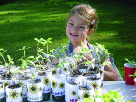 A happy young girl and the seedling sunflowers of Waimea Country School. Photo courtesy of School Garden Network Project, The Kohala Center.