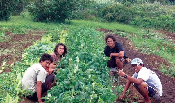 The Hawaii Youth Agriculture Program demonstrates how getting young hands in the dirt helps transform eating habits and effect lifestyle changes. Shown here, with hands in the dirt, are Jerome Hiraoka, Kanoe Phillips, Tim Holschuh, Derrick Pasco and Andre Chow-Vega. Photo courtesy of The Kohala Center.