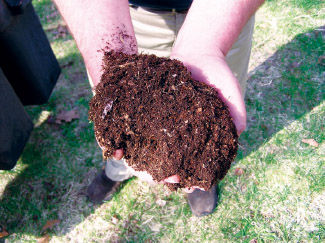 Compost dirt. normanack/Wikimedia 3.0 