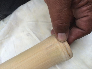 The bamboo is cut to preserve the node at one end.
