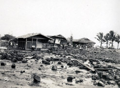 Destroyed teacher cottages at Laupāhoehoe. Bruce Collection