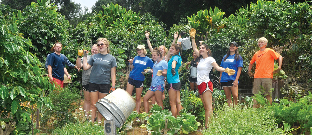 Wilderness Adventures teens celebrate the completion of chores as part of the Backyard Groceries Hands On History activity at the Kona Coffee Living History Farm. photo by Fern Gavelek