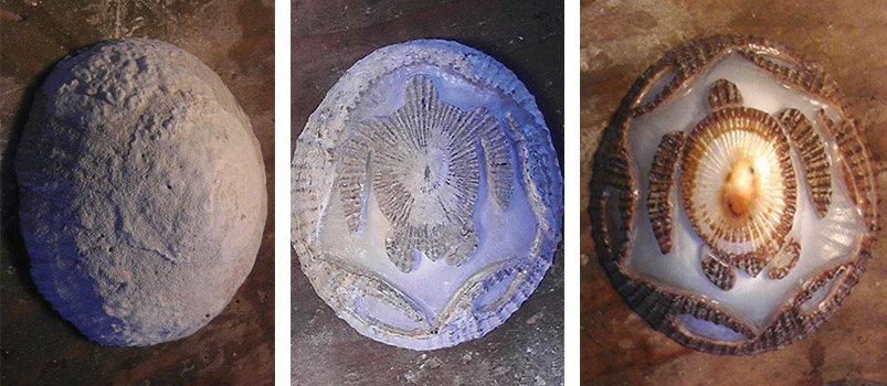Right: stage 1 of ‘opihi shell carving by Wil Costa. Middle: stage 2–3 Honu ‘opihi shell. Left: final stage Honu ‘opihi shell.