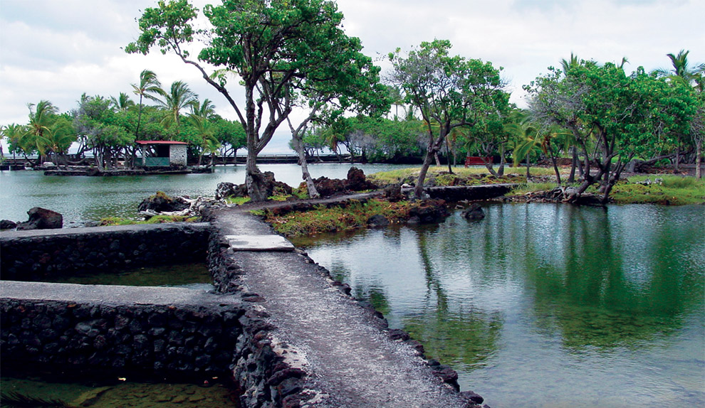 Fishponds in Hawai'i: A Small Scale Understanding