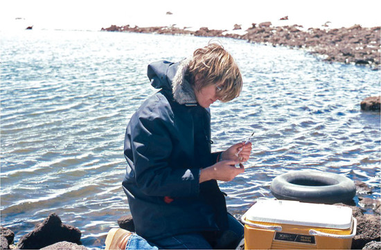 Dr. Jane Massey Licata, while a student at UH-Hilo, taking samples and working on her doctoral thesis at Lake Waiau in 1978. photo courtesy of Jane Licata