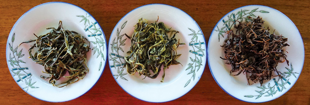Oolong, green, and black tea. photo by Brittany P. Anderson