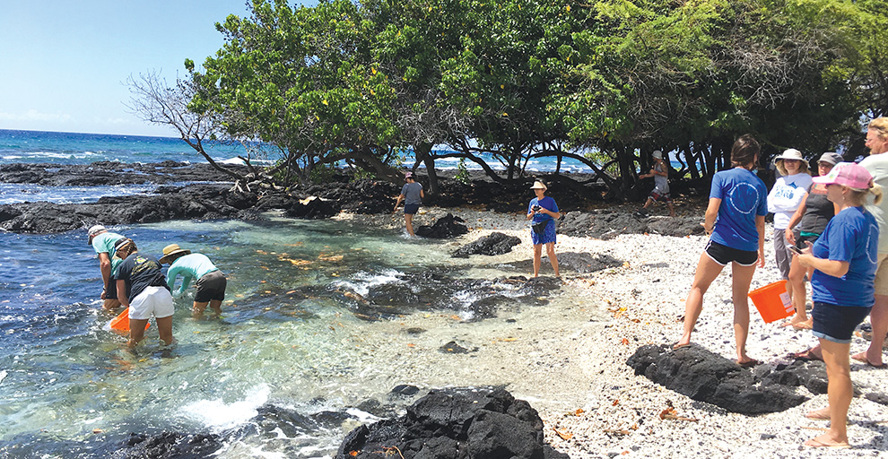 Volunteers with CORAL take to the field after a classroom training session to collect water samples on Puakō's shores. The participants are learning to follow specific protocols to test for pH, turbidity, and salinity on site. photo courtesy of Rachel Laderman