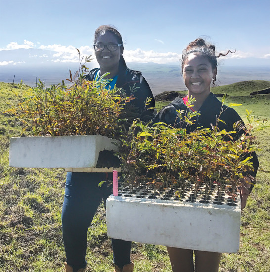 Two students hold trays of native seedlings for planting during Aloha ‘Āina Day with the Kohala Watershed Partnership in October 2017. photo courtesy of The Kohala Center