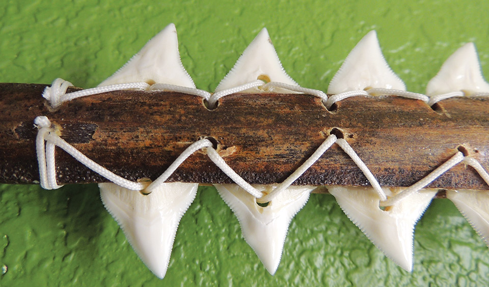 Sharks teeth the edge of a Hawaiian weapon.