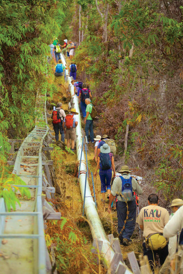 The popular Ka‘ū Mountain Water System Hike is May 2 in 2018. photo courtesy of the Ka‘ū Coffee Festival