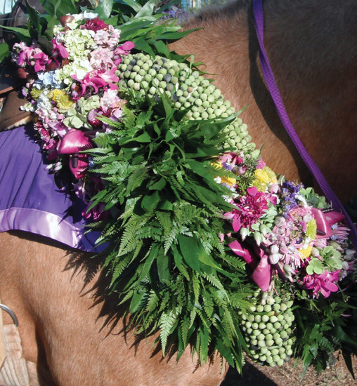 New style of horse lei designed by Ben with the help of Kumu Etua Lopes.