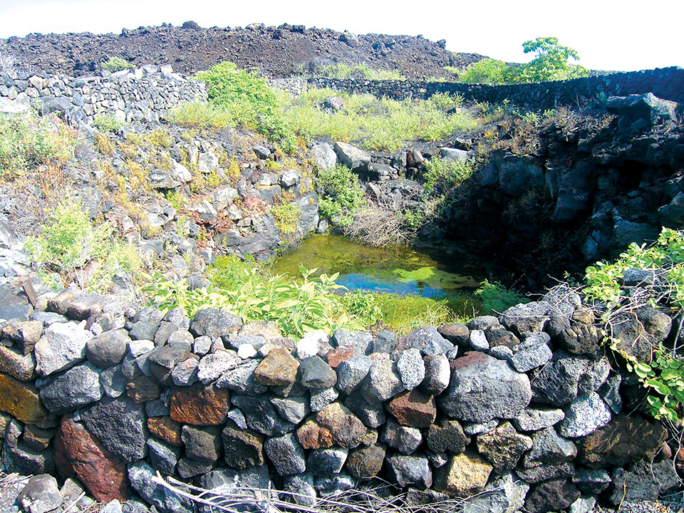 An anchialine pond protected by rock wall structure at Kaloko. photo by Jan Wizinowich