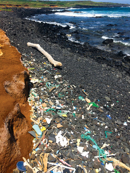 Ocean currents push debris ashore, as seen on this isolated beach at South Point. photo courtesy of Julia Meurice