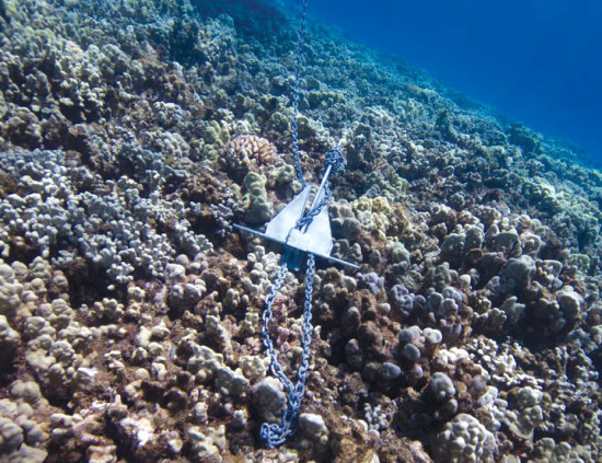 Dropped boat anchors damage coral, which can take years to regrow and become established.