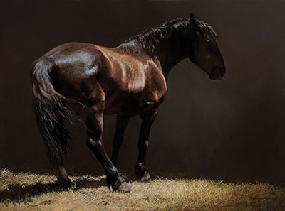 “Bello Cavallo”–“I chose to paint this stallion, which was part of the annual medieval festival in Bevagna, Italy, because I was attracted to the dramatic light and shadow on the horse as well as the color shift from the blues in his hindquarters to the rich browns across his back and shoulder.”