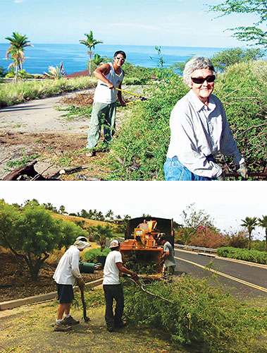 In May, Kohala By The Sea held a Firewise community workday as part of National Wildfire Preparedness Day. photos courtesy KBTS Firewise committee