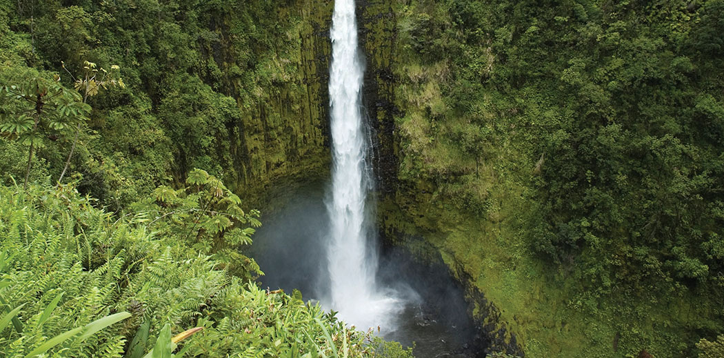 The famous Akaka Waterfall on the Big Island of Hawaii.