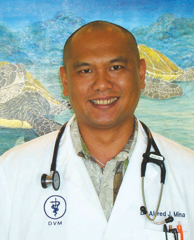 Alfred Mina, Doctor of Veterinary Medicine (DVM), Owner