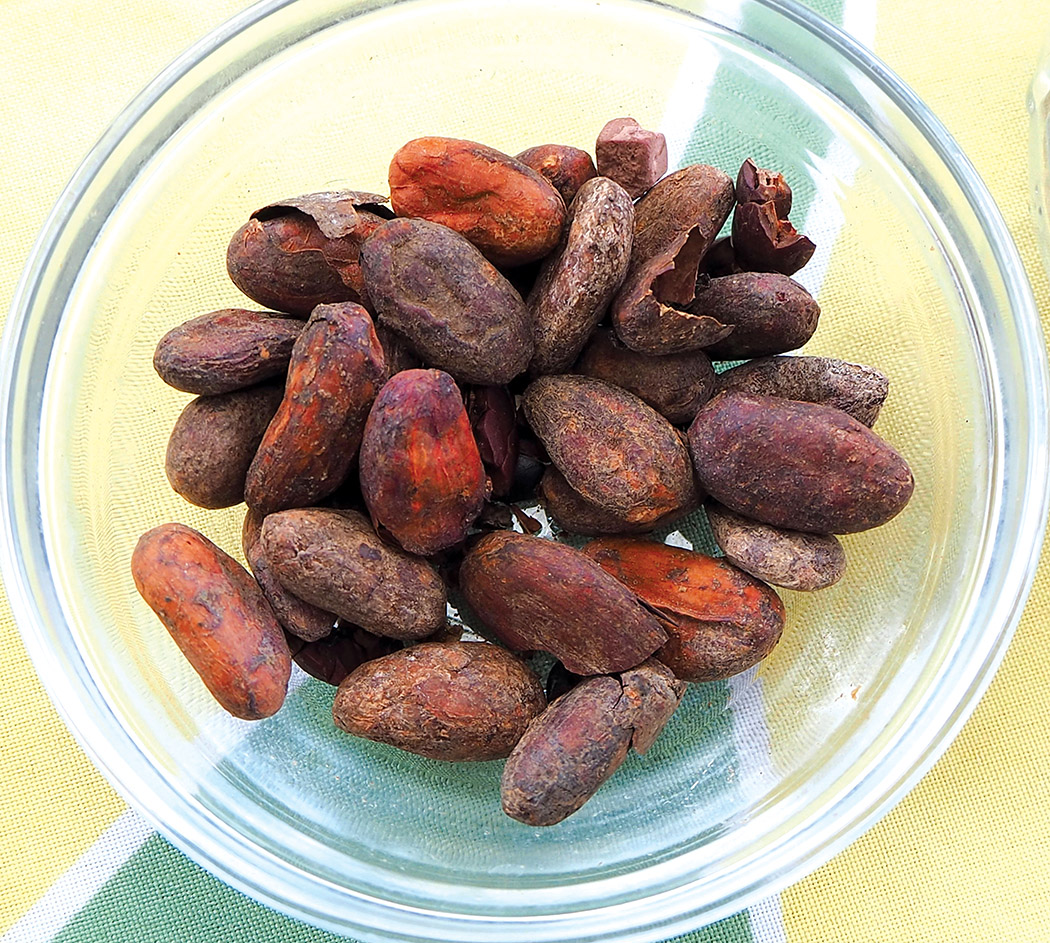 Roasted cacao beans.