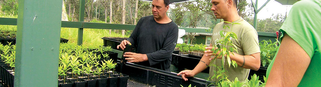 Joe, Kristen, and Pueo check out seedlings in the greenhouse before selecting trees to plant. photo by Jan Wizinowich