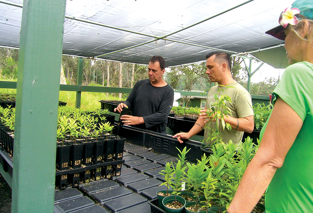Joe, Kristen, and Pueo check out seedlings in the greenhouse before selecting trees to plant. photo by Jan Wizinowich
