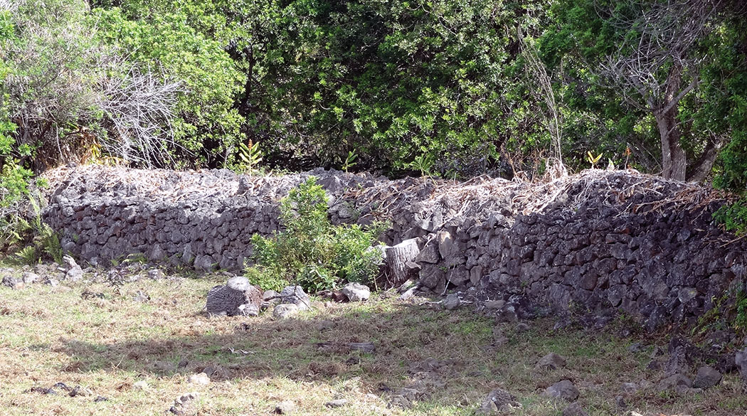 The Great Kamehmeha Wall