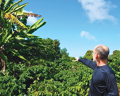 Craig points out the abundance of food growing in a Hōlualoa yard. photo by Brittany P. Anderson