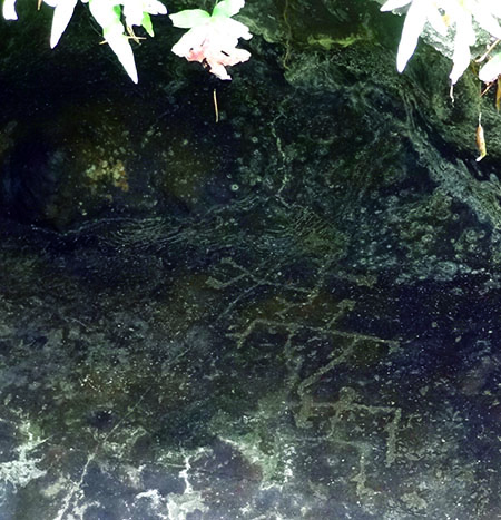 Estimated 800-year-old petroglyphs