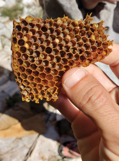 The Bee Boys have plastic-free hives, allowing their bees to work with the wax comb they naturally create instead.