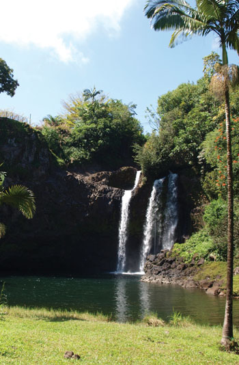 Privately-owned waterfall in Hilo used in the filming of "Jumanji." photo courtesy of the Hawai‘i Island Film Office