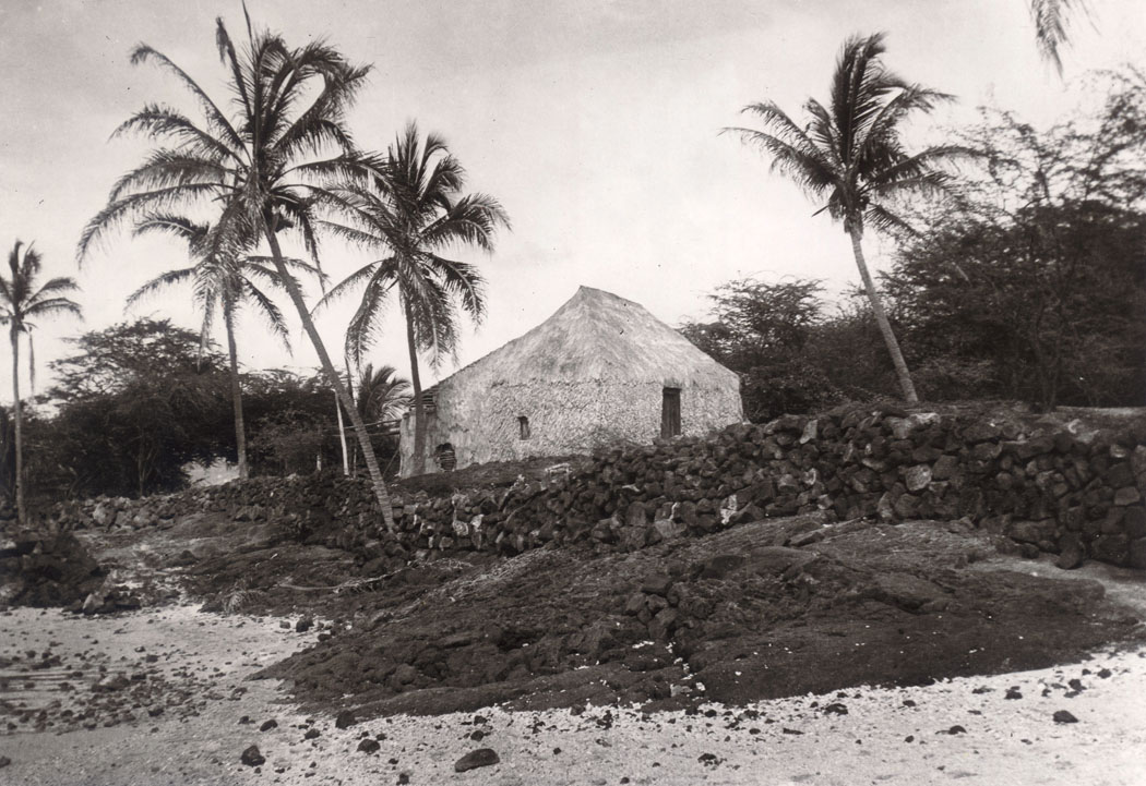 Thatched house by beach at Miloli‘i, 1907. photo from the Lyman Museum Archives