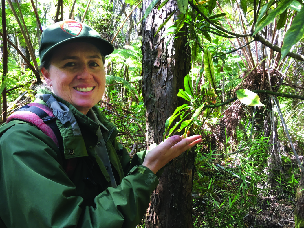 “It’s amazing just to stand in their presence,” says Sierra, with a tall reintroduced Pele lobeliad growing in native forest in a protected area of the Park. photo courtesy of Rachel Laderman