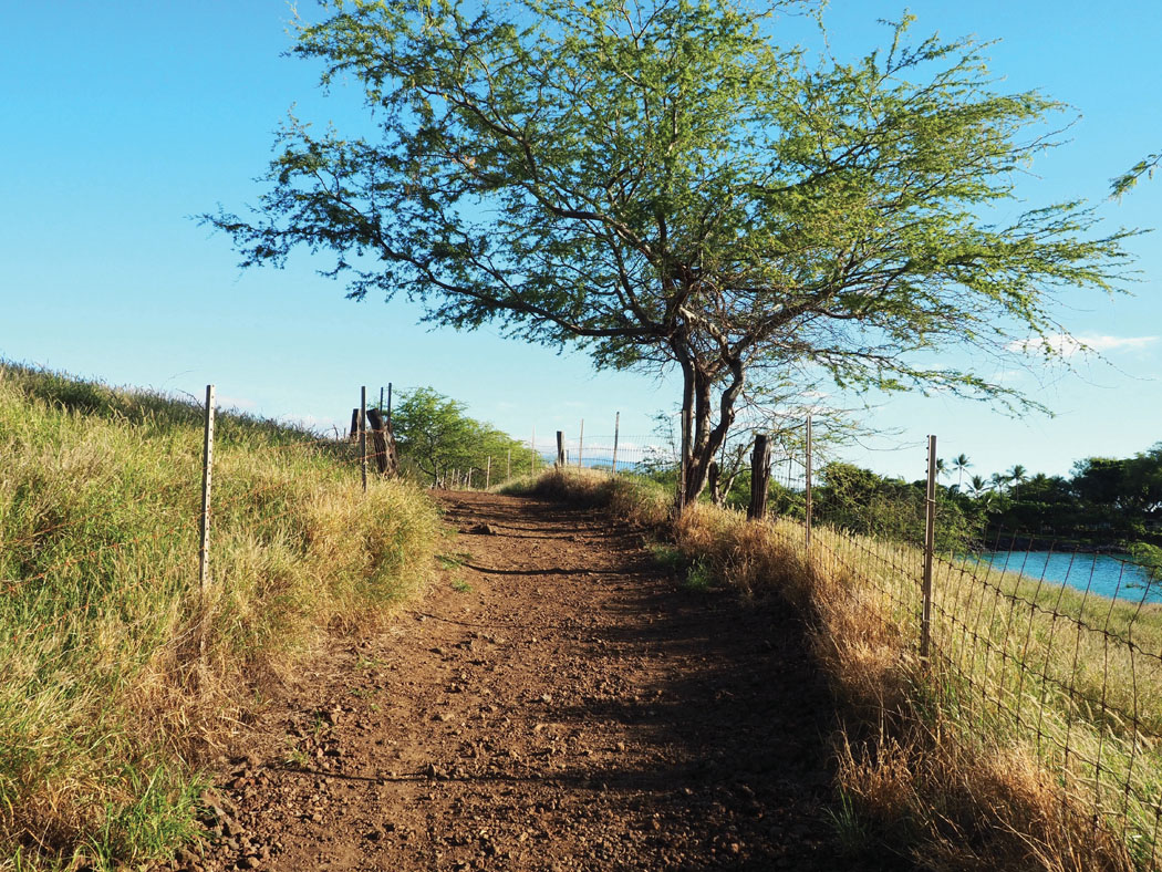 Oceanside section of the Ala Kahakai National Historic Trail. photo by Brittany P. Anderson