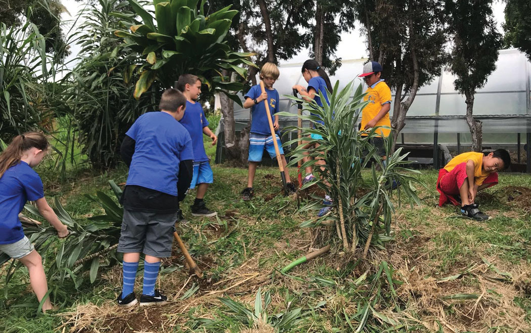 Laupahoehoe Elementary School students in Jenny Bee’s garden class prepare the land the plant wauke. photo courtesy of Puakea Fisher 