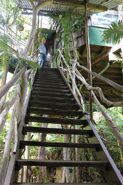 Stairway to the first treehouse that Skye built. photo by Lara Hughes