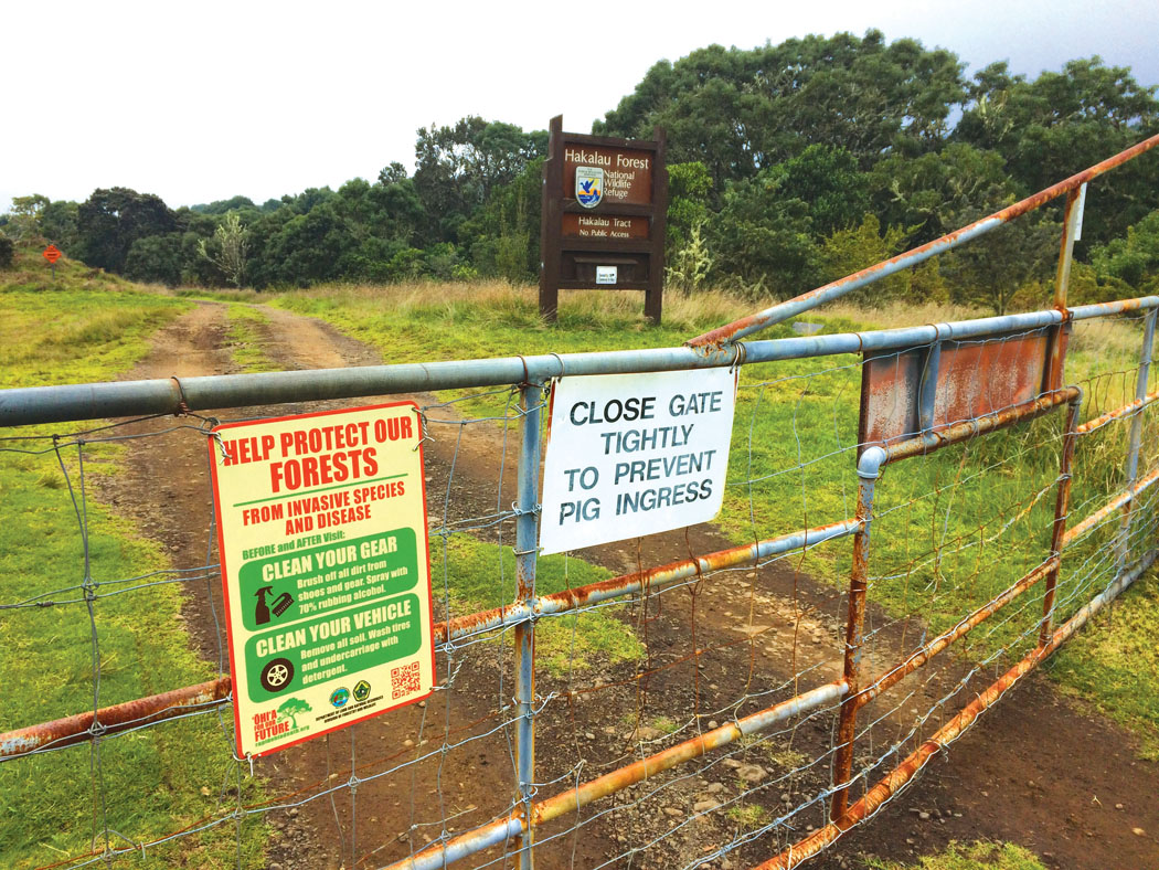 Sturdy gate at Hakalau Forest National Wildlife Refuge.