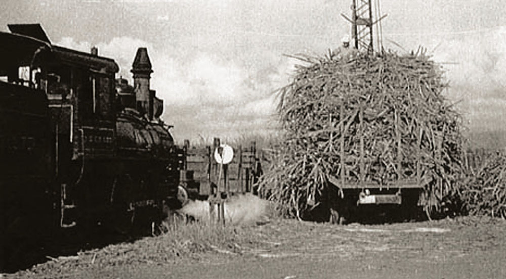 Loading sugar cane.