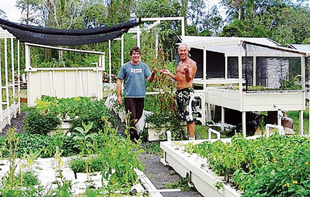 State-of-the-art aquaponics gardens: Richard Koob, Kalani’s founder and director (right), with bamboo specialist Steven Heselton, offer wholesome food from the combination of aquaculture, which marries the raising of tilapia in a sun-screened pond (pictured to the left), and hydroponics, growing plants irrigated by the nutrient-filled fish pond instead of soil. photo by Marya Mann