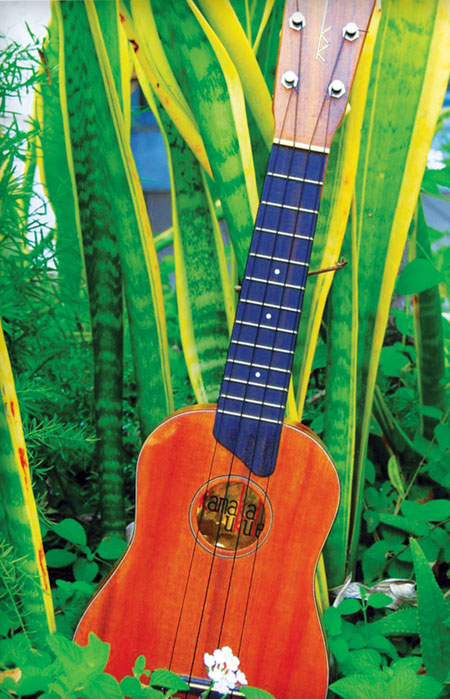 Classic 1950s Kamaka ‘ukulele. 