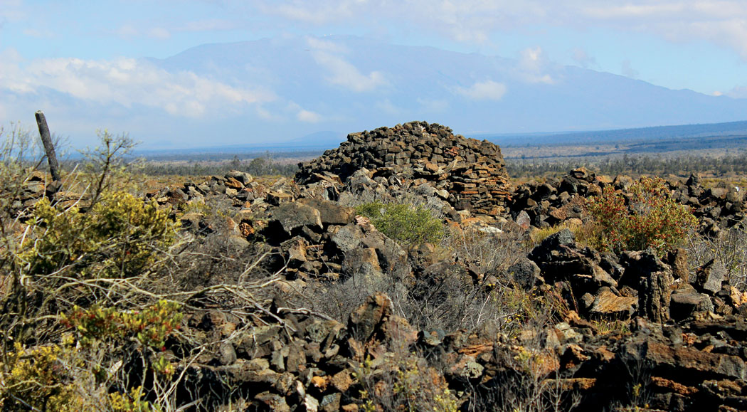 Stone piles surround Āhua A ‘Umi Heiau. photo courtesy of Kawika Singson