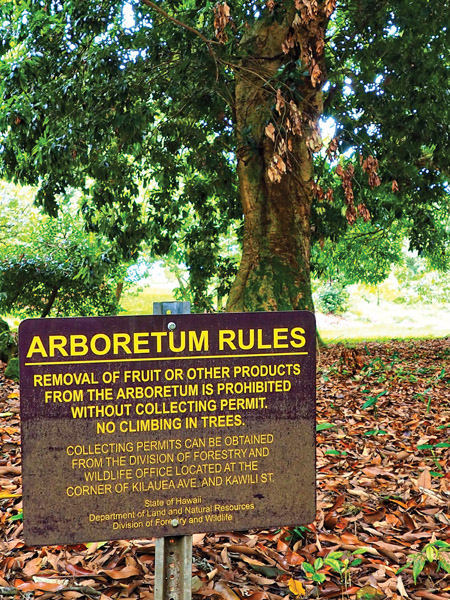 Rules of the arboretum. photo by Brittany P. Anderson