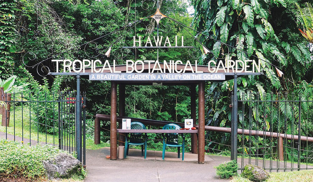 Hawaii Tropical Botanical Garden Restoring and Protecting Hawai‘i