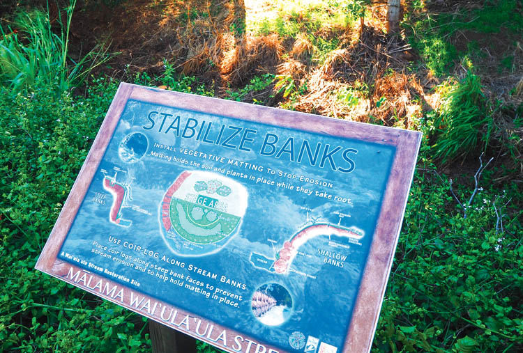 Informative display along the stream at Ulu La‘au. photo by Brittany P. Anderson